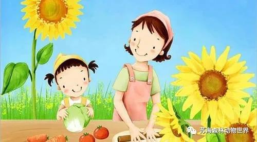 微信图片_20210508091424 微信图片_20210508091424.jpg