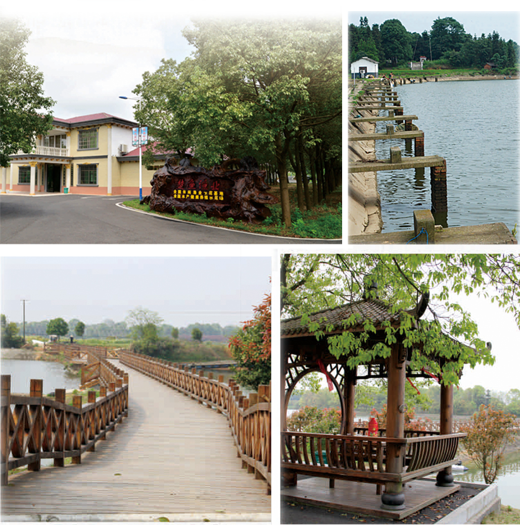 02 楚如家庭农庄2 02 楚如家庭农庄2.jpg