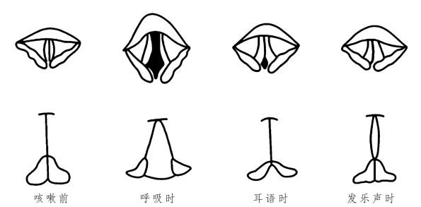 pagenumber_ebook=32,pagenumber_book=24