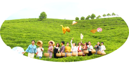 图片41 图片41.png