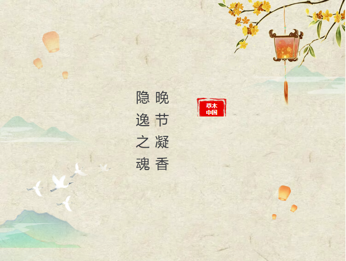 image.png?v=1762100057603