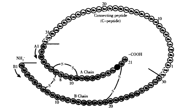pagenumber_ebook=456,pagenumber_book=438