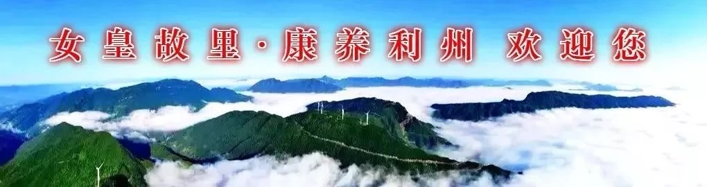 IMG_1401 IMG_1401.jpg?v=1765781105416