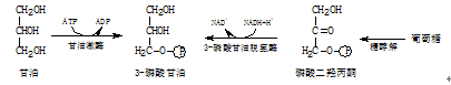QQ图片20190415105902.png