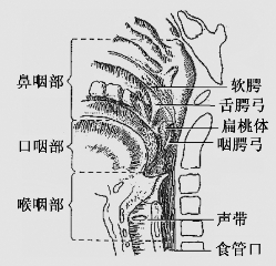 pagenumber_ebook=42,pagenumber_book=29