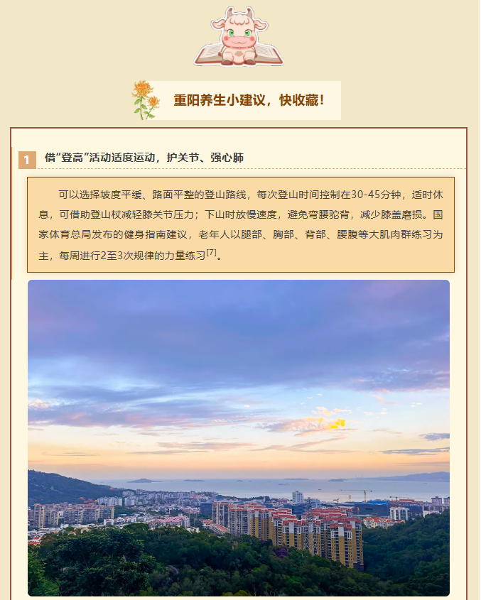 image.png?v=1762073882171