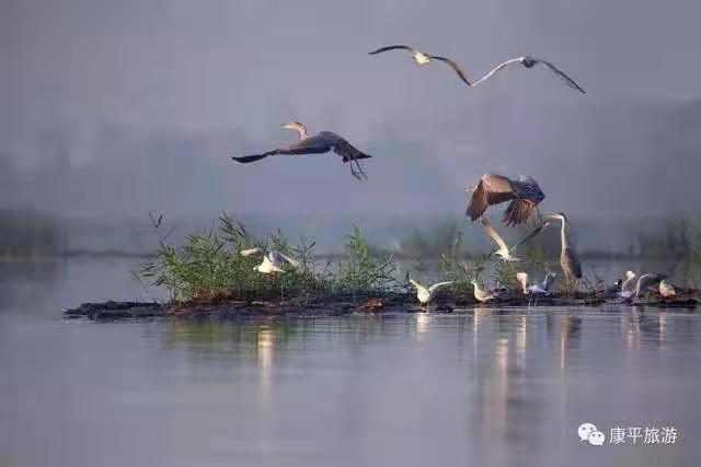 b95ec6d1a8bbfa6980e827505c54d02 b95ec6d1a8bbfa6980e827505c54d02.jpg