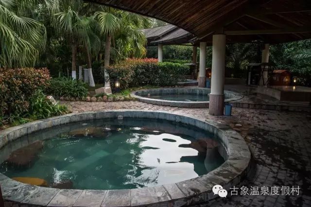 古象温泉3 古象温泉3