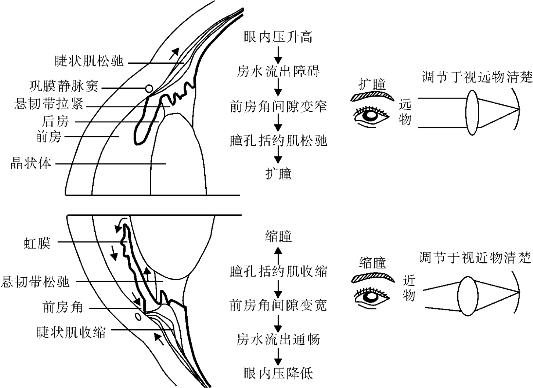 pagenumber_ebook=50,pagenumber_book=50