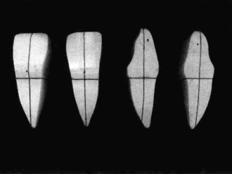 pagenumber_ebook=194,pagenumber_book=185