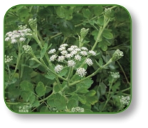 pagenumber_ebook=205,pagenumber_book=192