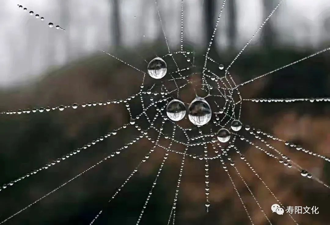 微信图片_20221009095416