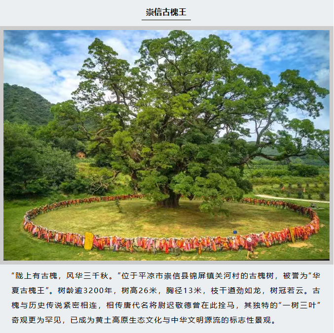 image.png?v=1766278387980