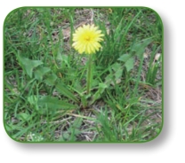 pagenumber_ebook=54,pagenumber_book=41