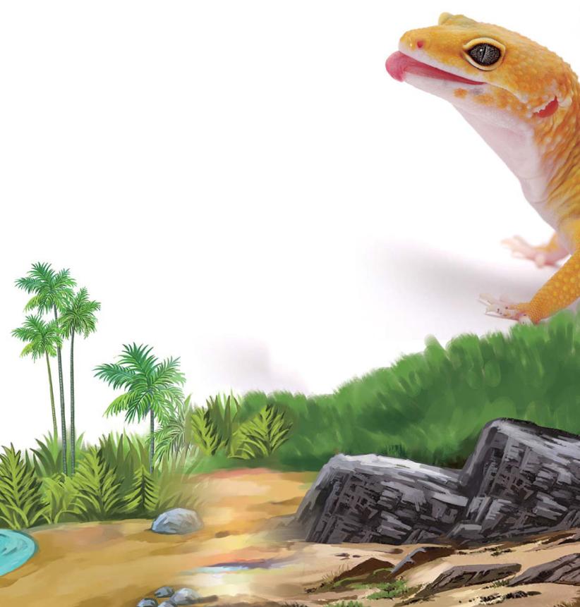 pagenumber_ebook=86,pagenumber_book=75