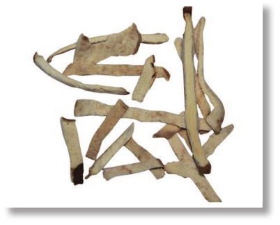 pagenumber_ebook=123,pagenumber_book=110