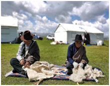 image image.png?v=1765682573089