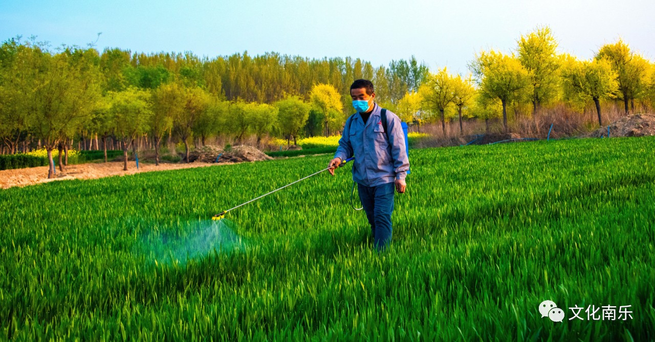 596695b7e76506080ea80817afd660d8 596695b7e76506080ea80817afd660d8.jpg