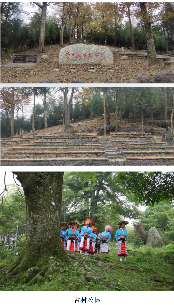 1732264498409 1732264498409.png