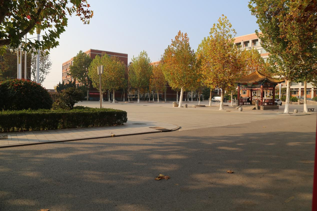 图片23png
