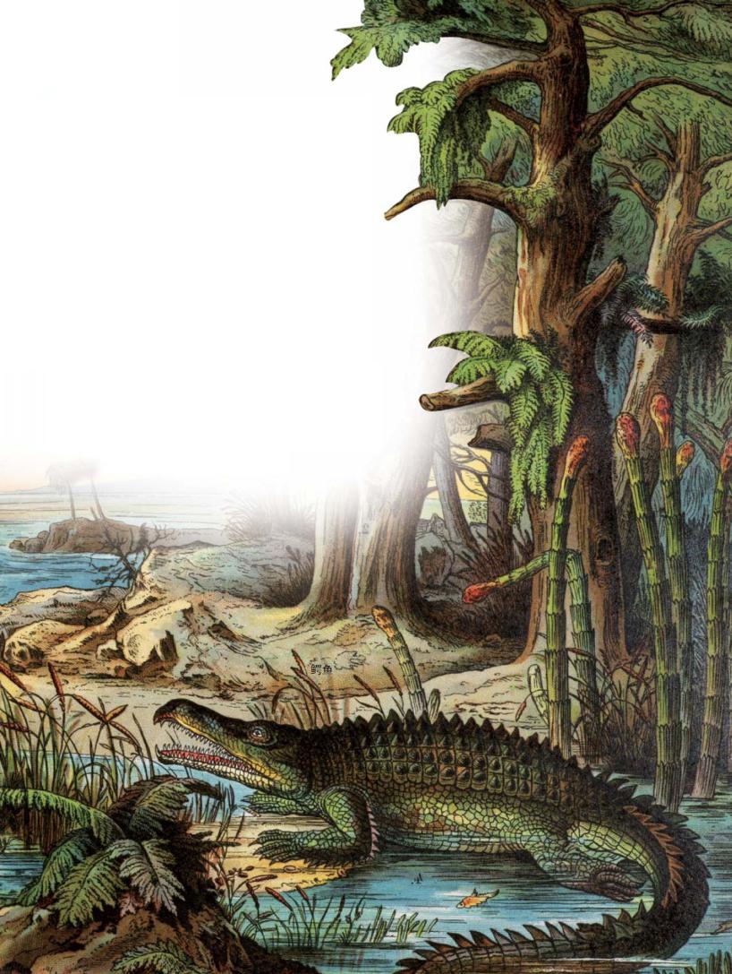 pagenumber_ebook=18,pagenumber_book=7