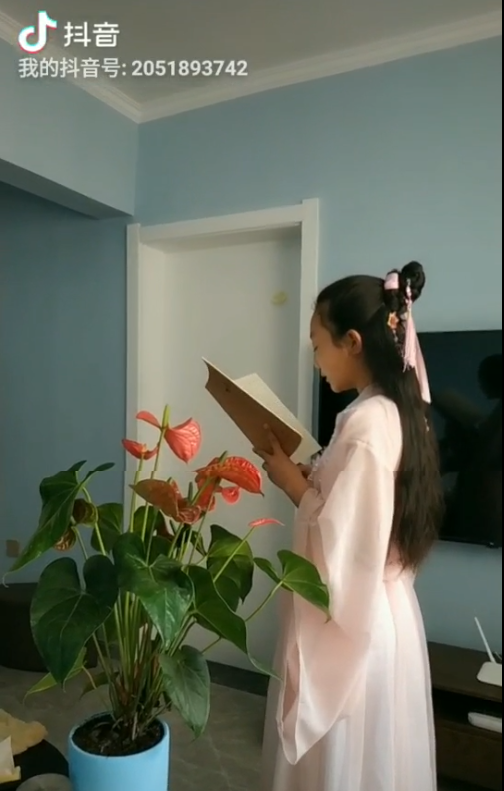 图片1 图片1.png?v=1765697470298