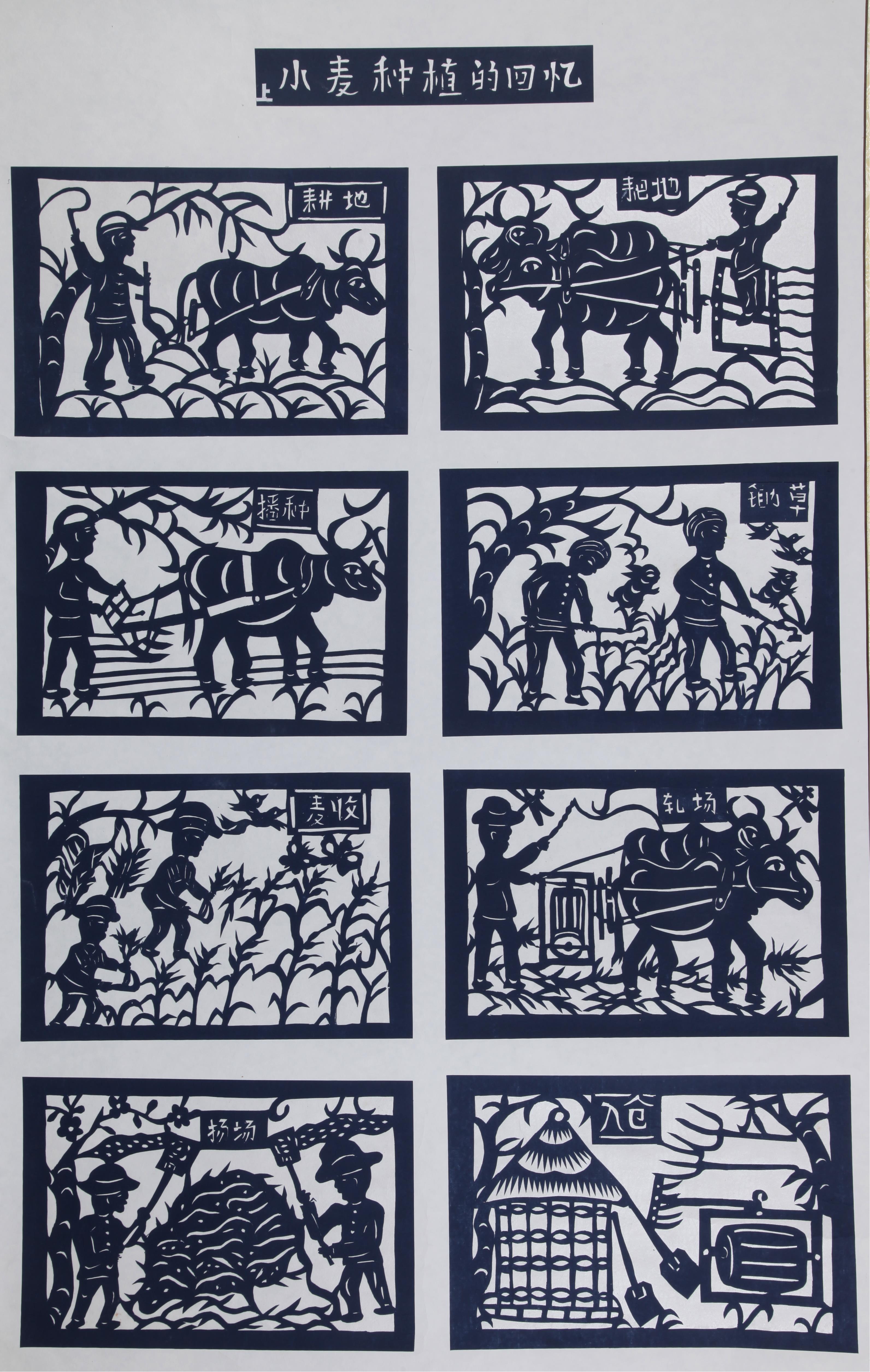 传统剪纸《小麦种植的回忆》.jpg