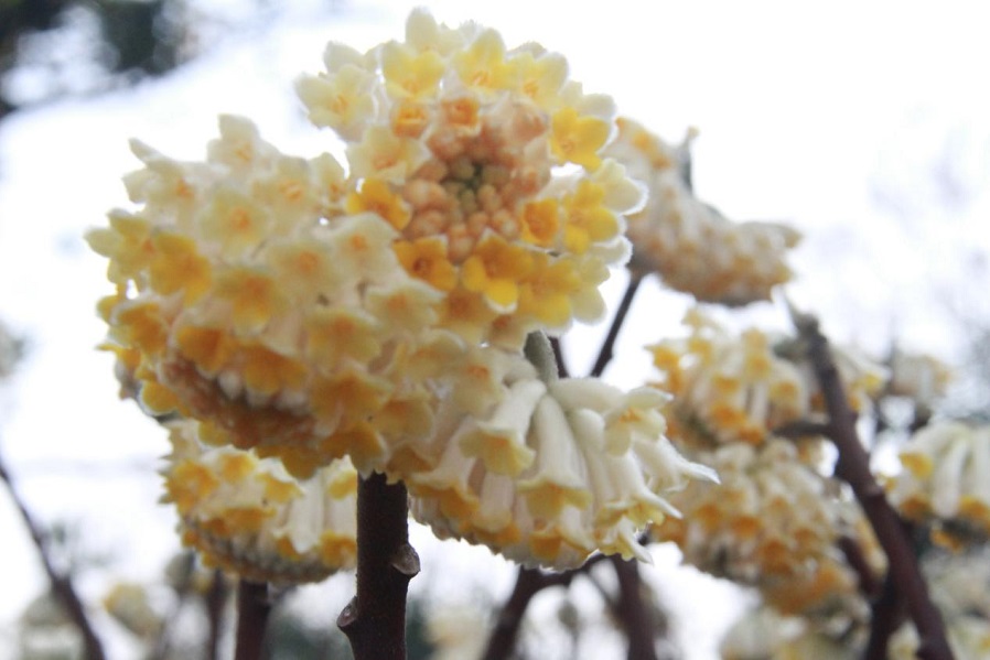 图片1 图片1.jpg?v=1765944454112