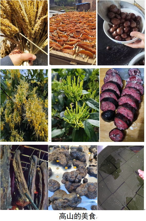 1732190554520 1732190554520.png