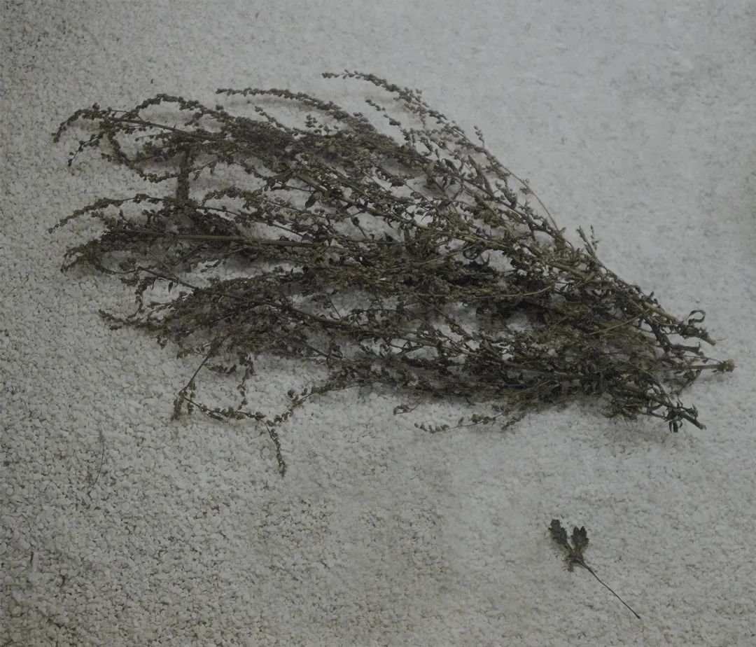 微信图片_20220505094455 微信图片_20220505094455.jpg