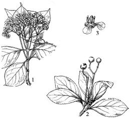 pagenumber_ebook=173,pagenumber_book=173