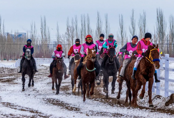 截屏2023-12-25 17.29.30