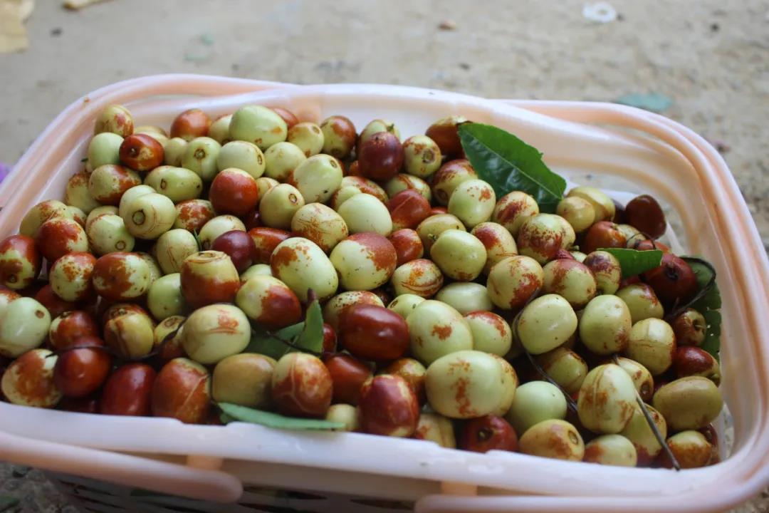 微信图片_20200917001419 微信图片_20200917001419.jpg