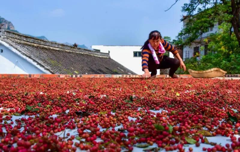 微信图片_20210525161221