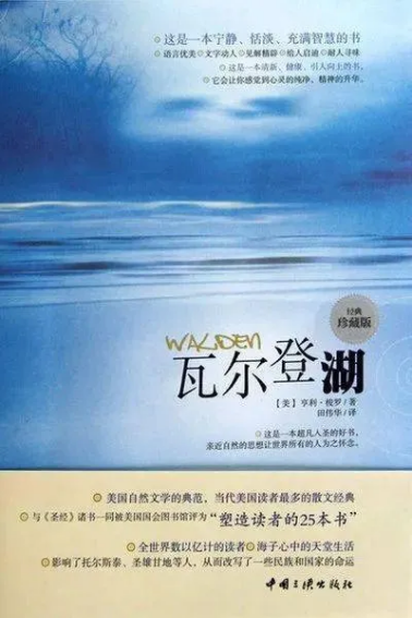 image.png?v=1757802378742
