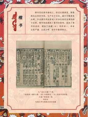 image.png?v=1757814455044