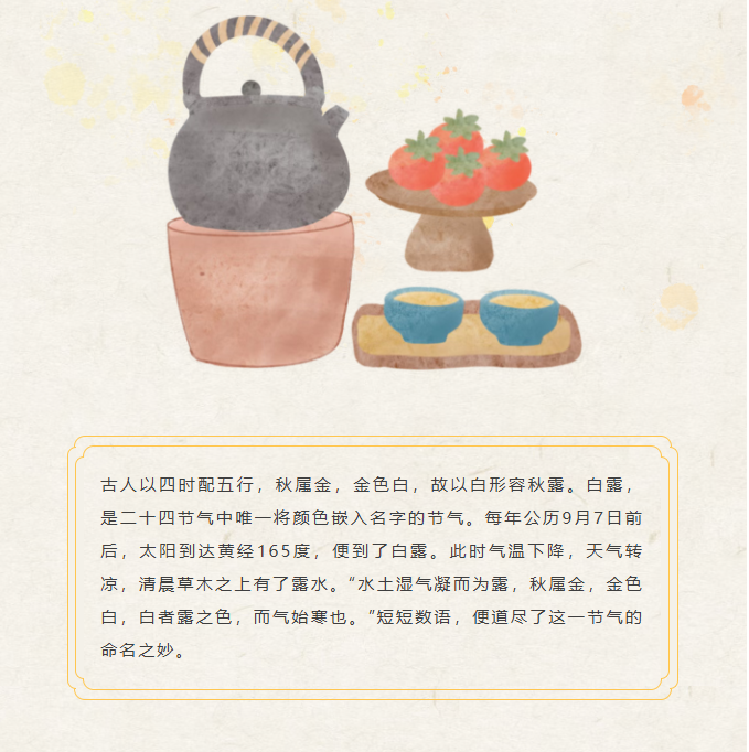 image.png?v=1788858041626
