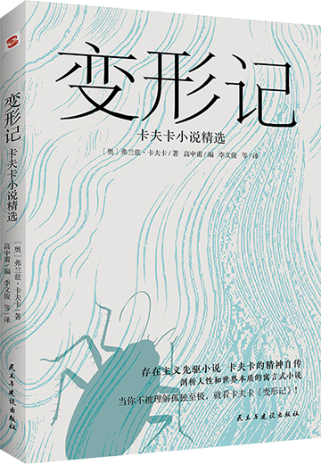 7 7.png?v=1771627015905