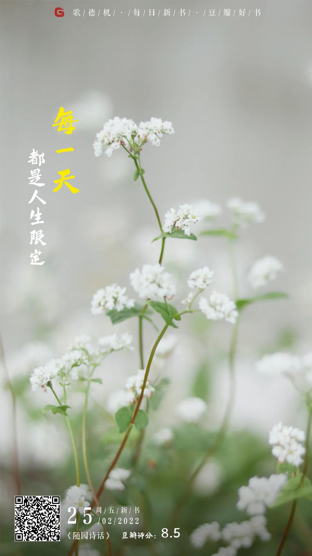 2 2.jpg?v=1765699949483