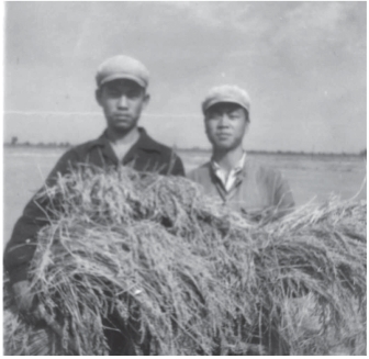 pagenumber_ebook=213,pagenumber_book=201