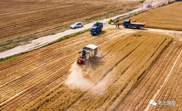 effa9650-2430-11ec-9417-0d7e0afbc599