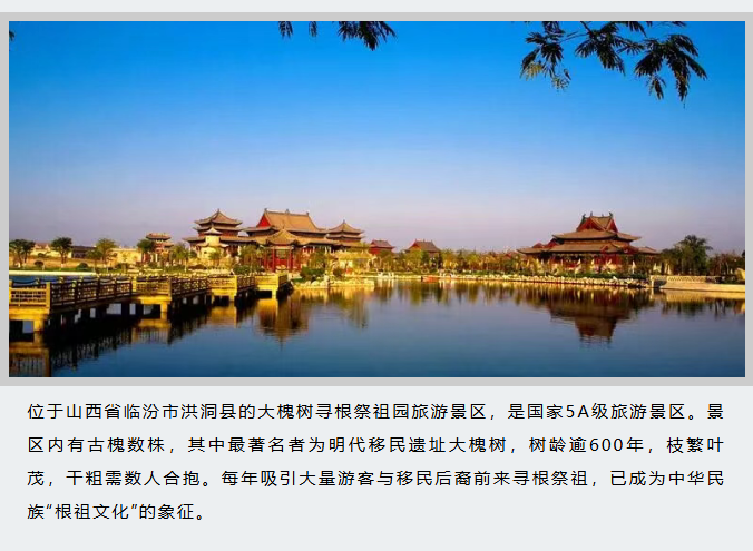 image.png?v=1766278387980