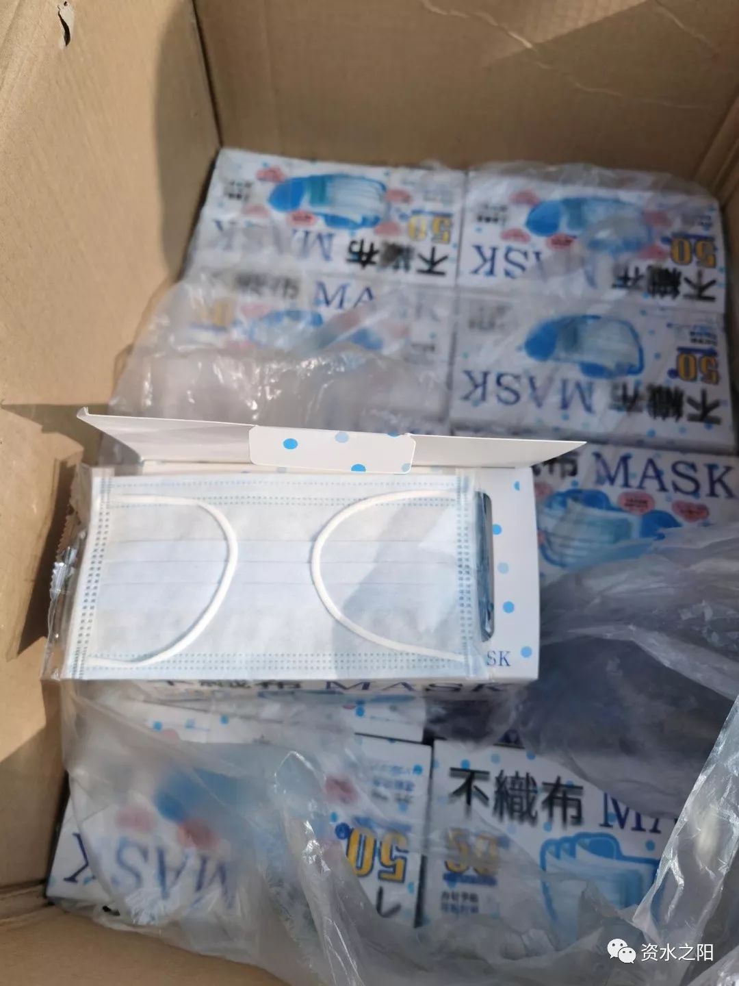 5 5.jpg?v=1765898245189