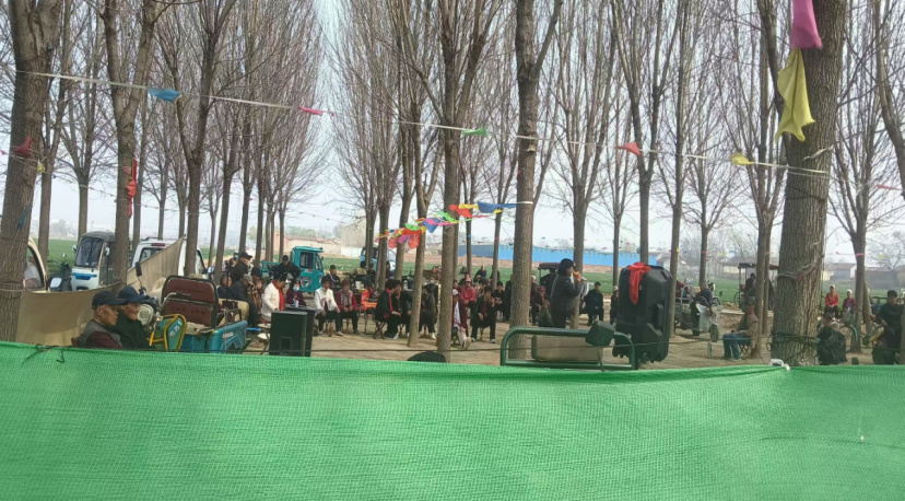 图片15png