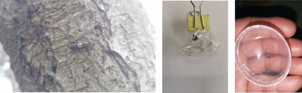 pagenumber_ebook=35,pagenumber_book=27