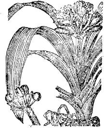 pagenumber_ebook=208,pagenumber_book=208