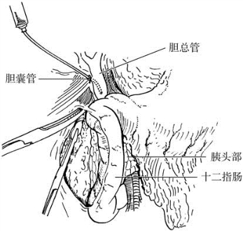 pagenumber_ebook=442,pagenumber_book=427