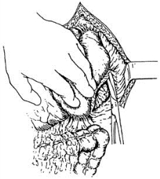 pagenumber_ebook=508,pagenumber_book=493