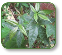 pagenumber_ebook=102,pagenumber_book=89