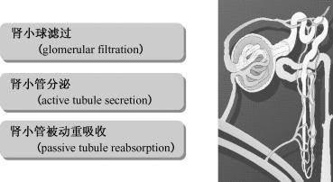 width=321,height=176,dpi=110